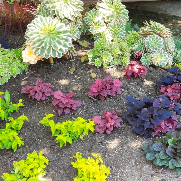 Meet your Posher, Kristy - Picture 1 of 3